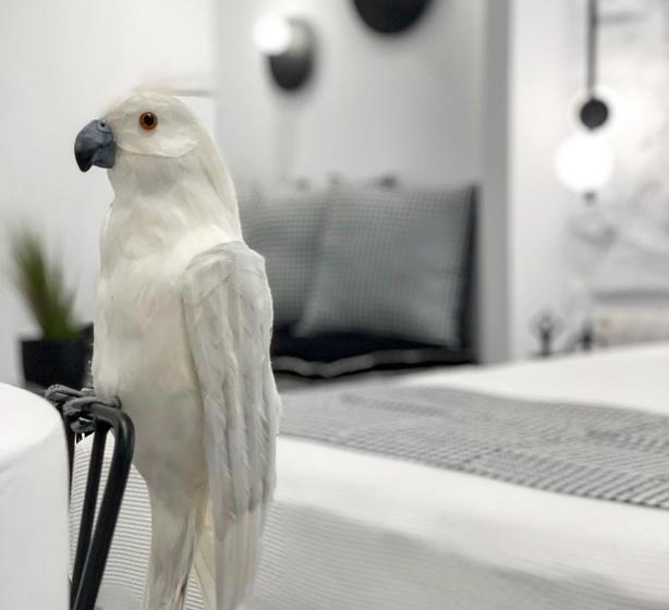 Люкс Повышенной Комфортности, Studios Panos