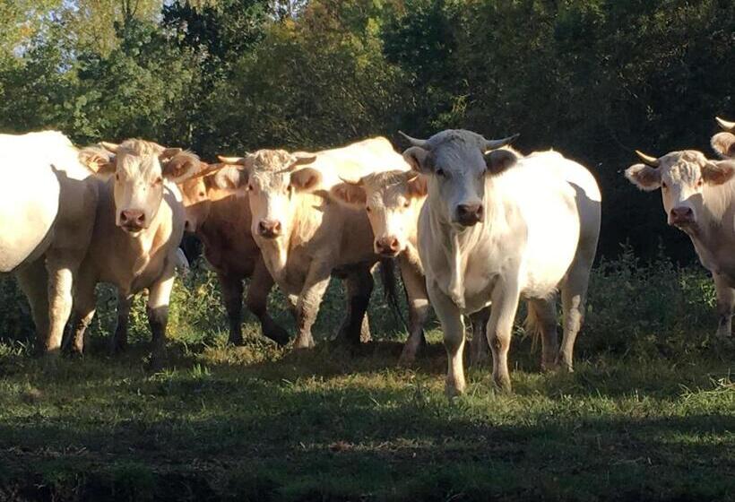 Семейный Номер Вид на Сад, Dormir Ben Aise Hammam Massages