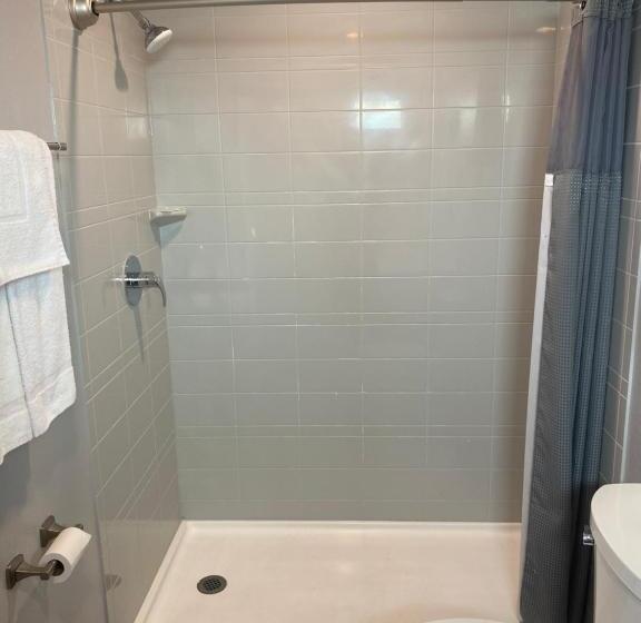 스탠다드 룸 킹사이즈 침대, Sun Valley Inn