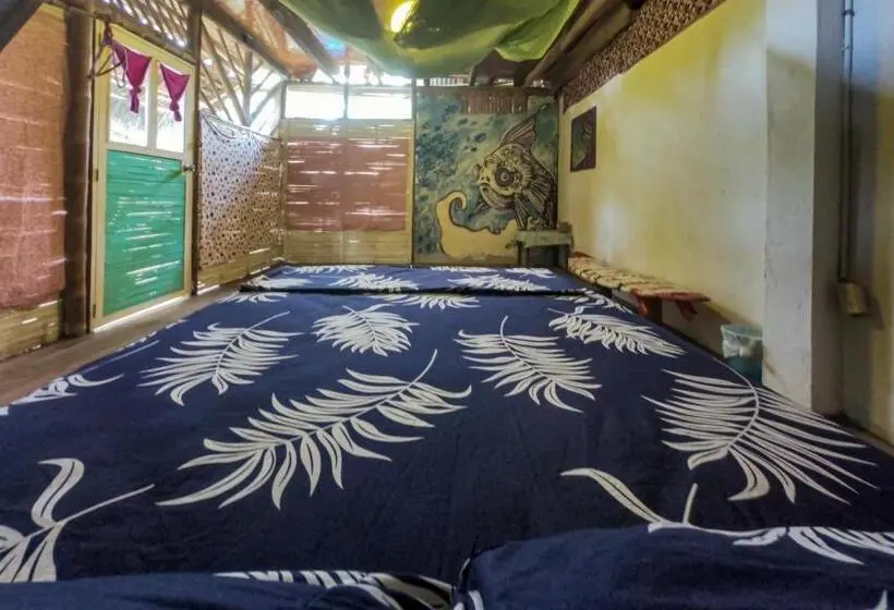 StandaardKamer, Raices Mompiche