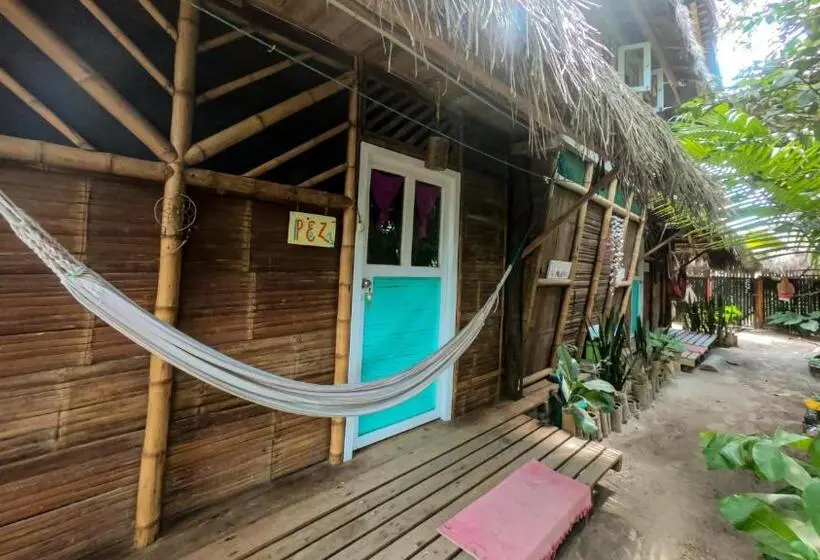 StandaardKamer, Raices Mompiche
