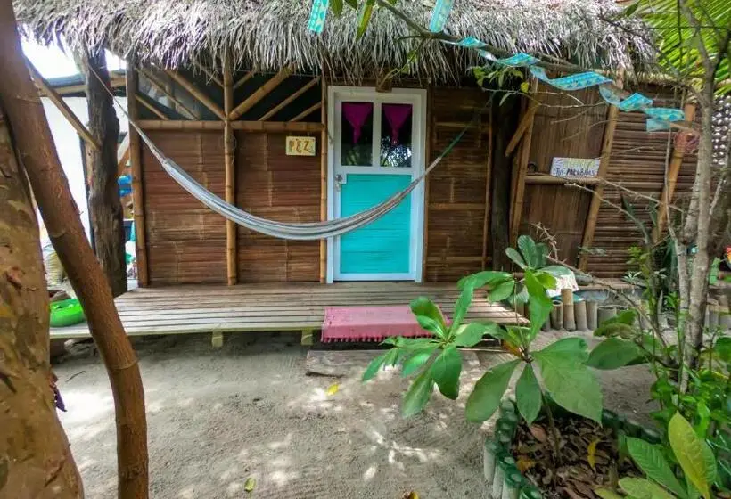 StandaardKamer, Raices Mompiche