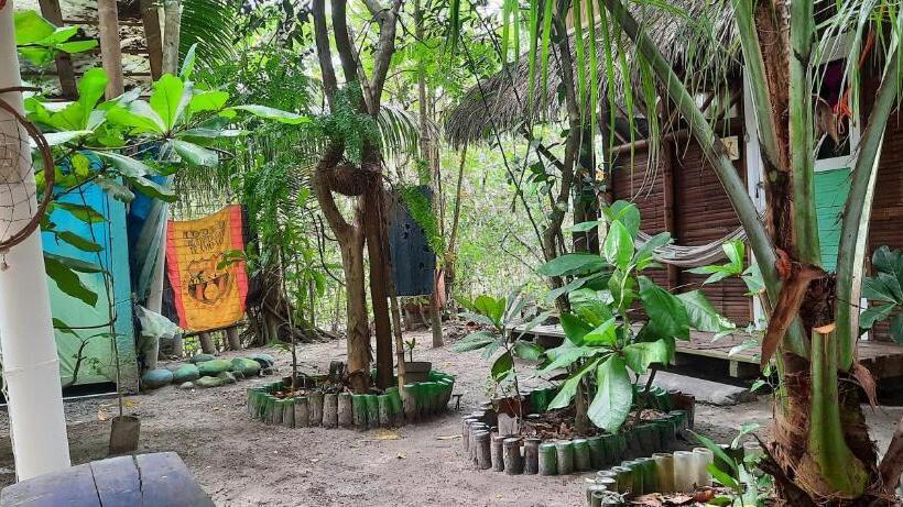 اتاق استاندارد, Raices Mompiche