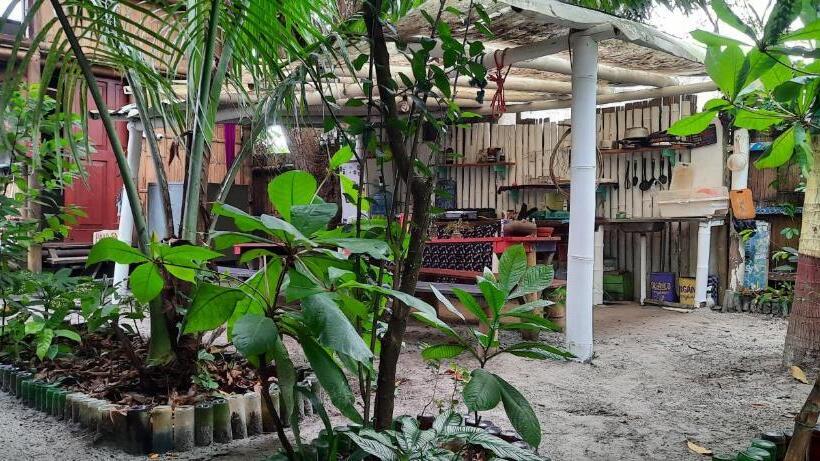 اتاق استاندارد, Raices Mompiche