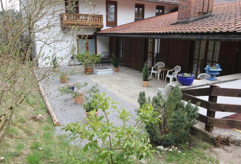 غرفة قياسية مزوَّدة بتراس, Pension Oberwirt