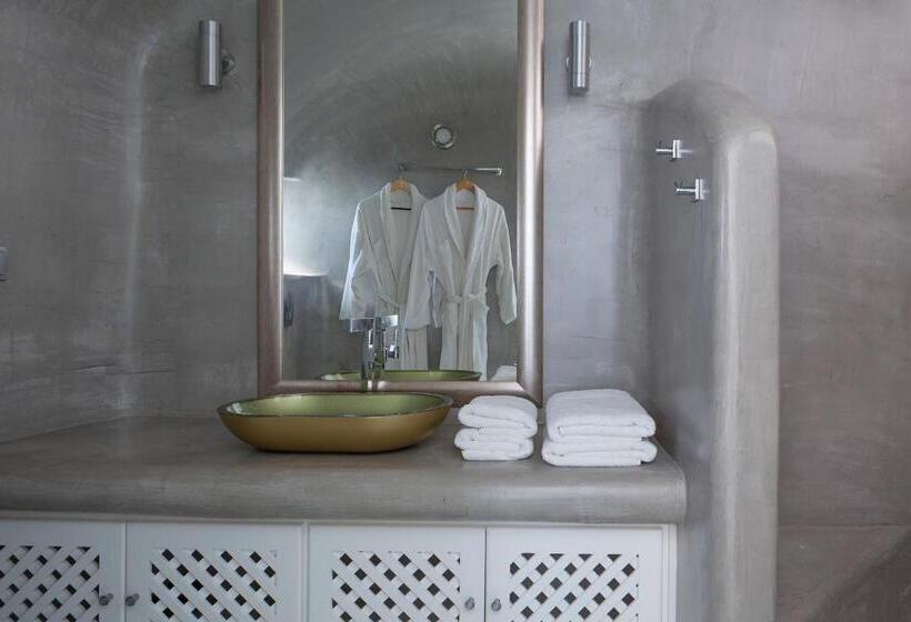 Suite Ejecutiva, Pegasus Spa