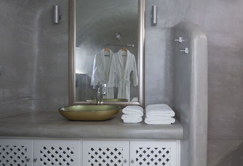 Suite Ejecutiva, Pegasus Spa