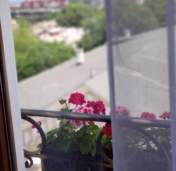 اتاق کلاسیک یک تخته, Boutique Hotel California