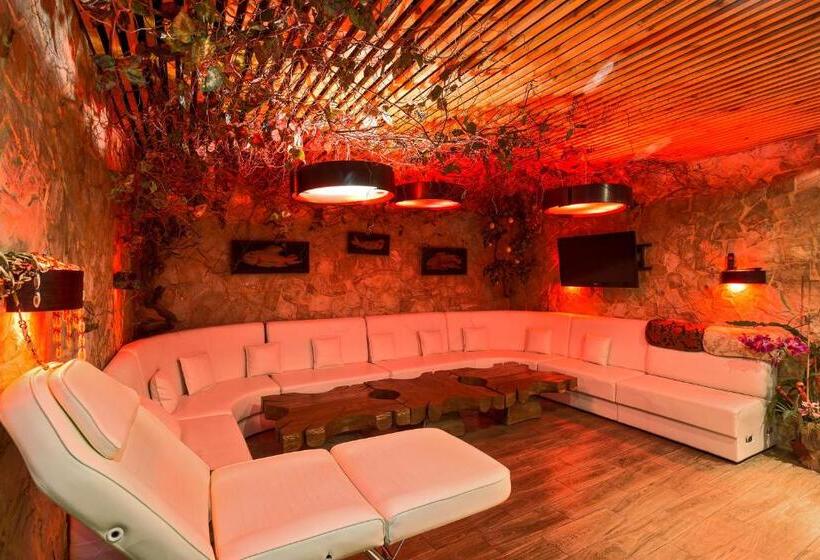 آپارتمان 1 خوابه, Boutique Hotel California