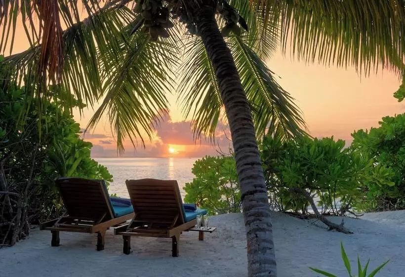 ویلا پریمیوم 1 خوابه, Canareef Resort Maldives