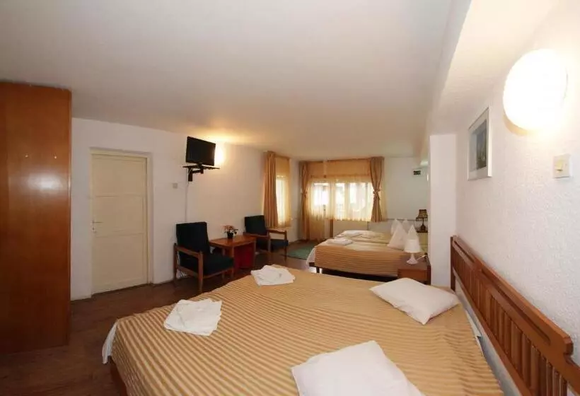 آپارتمان 1 خوابه, Cazare Casa Cristina