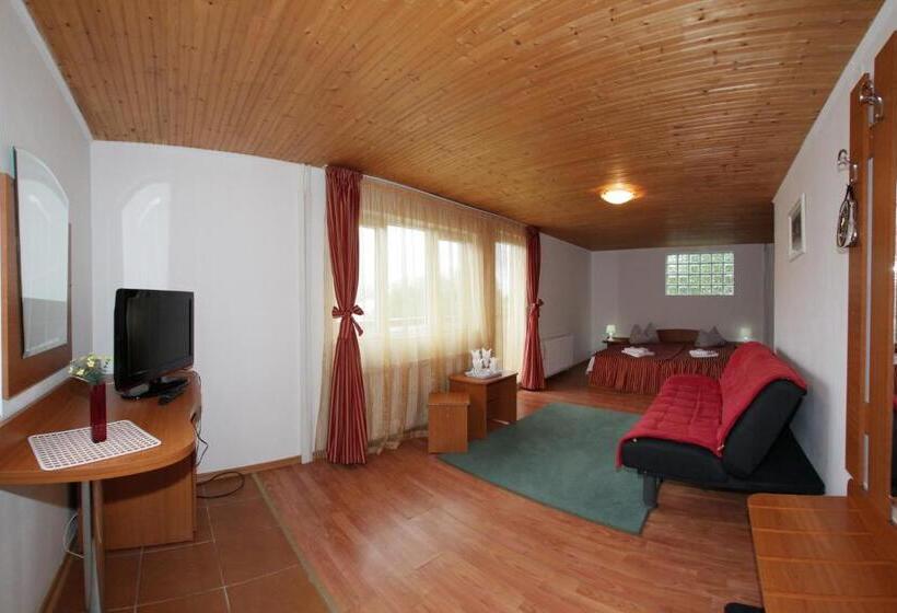 Номер Superior, Cazare Casa Cristina