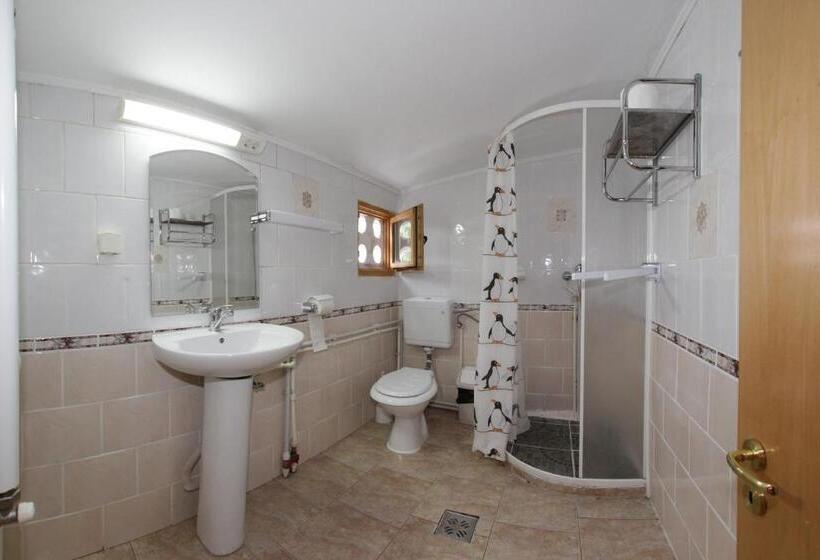 Номер Стандарт с Балконом, Cazare Casa Cristina