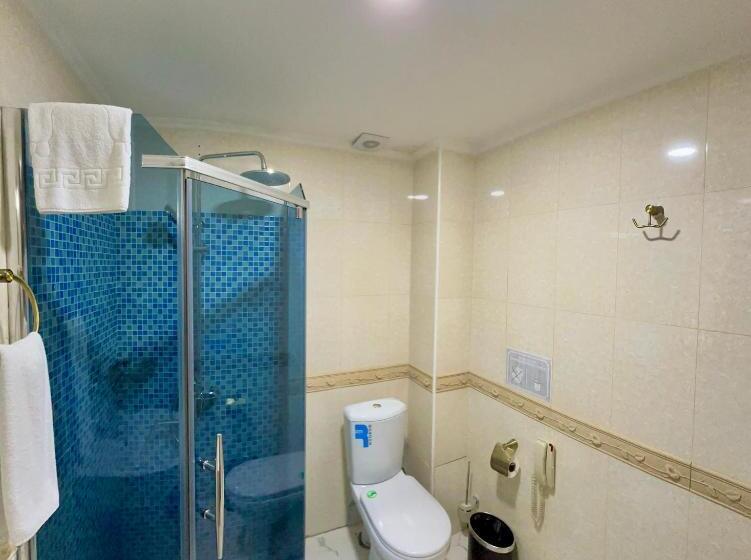 Habitació Triple Estàndard, Hayot