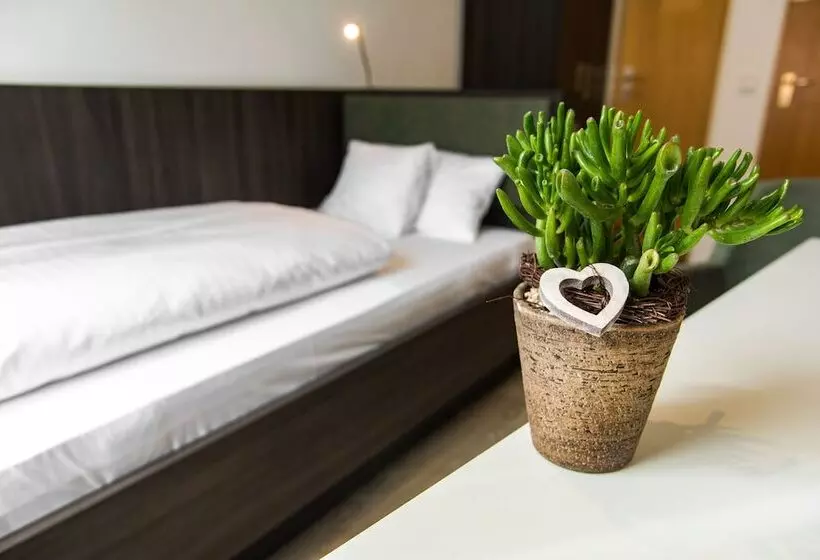 スタンダードシングルルーム, Insel Hotel Lindau