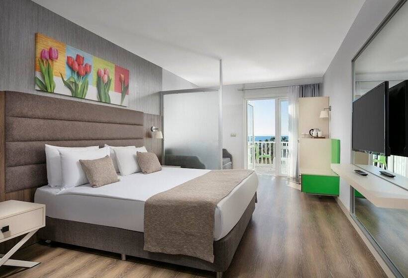 اتاق استاندارد با چشم‌انداز دریا, Monachus Family Resort Sorgun