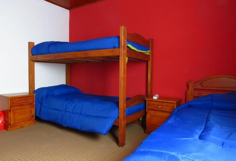 ルームシェアのワンベッド, Aonikenk B&b