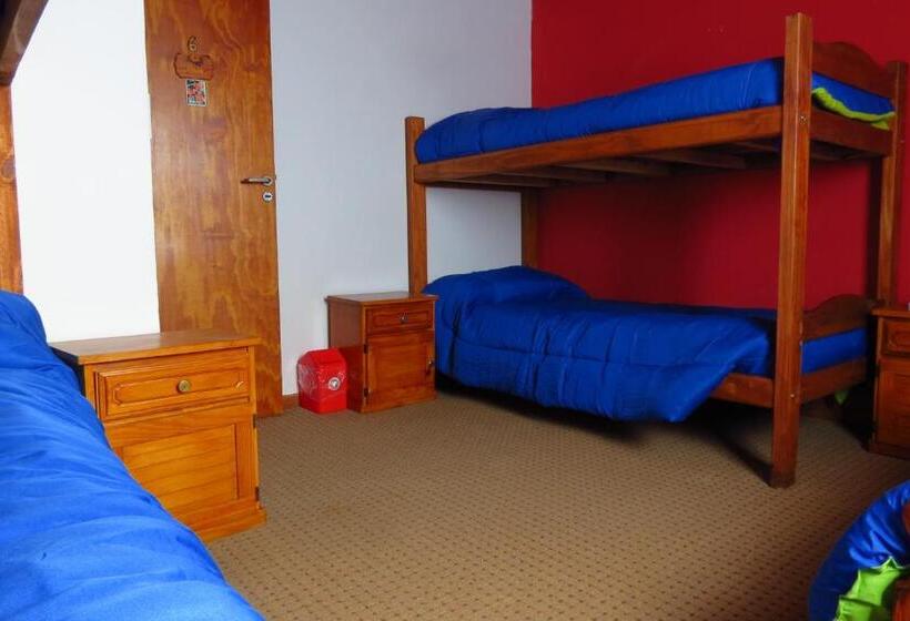 ルームシェアのワンベッド, Aonikenk B&b