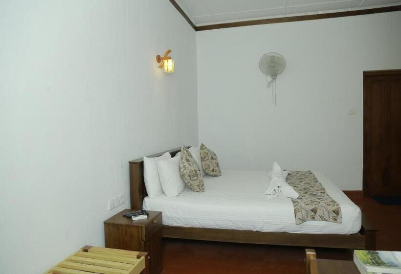 디럭스 룸, Achivina