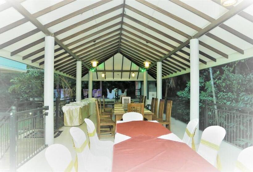 디럭스 룸, Achivina