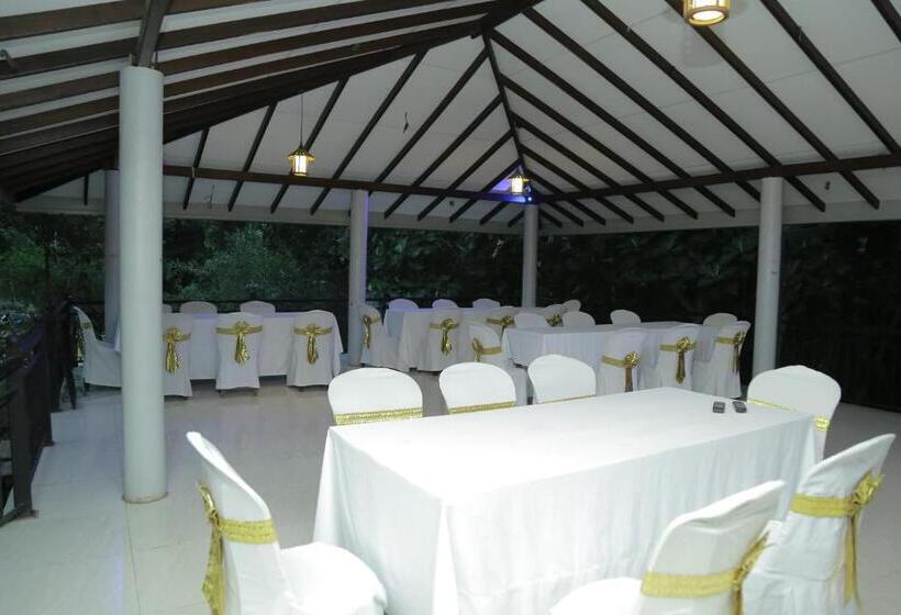 디럭스 룸, Achivina