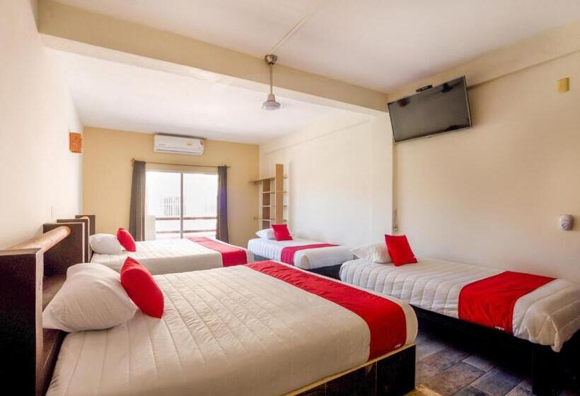 اتاق خانوادگی, Oyo Posada Lys