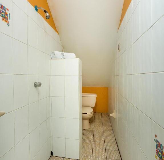 اتاق سوپریور, Oyo Posada Lys