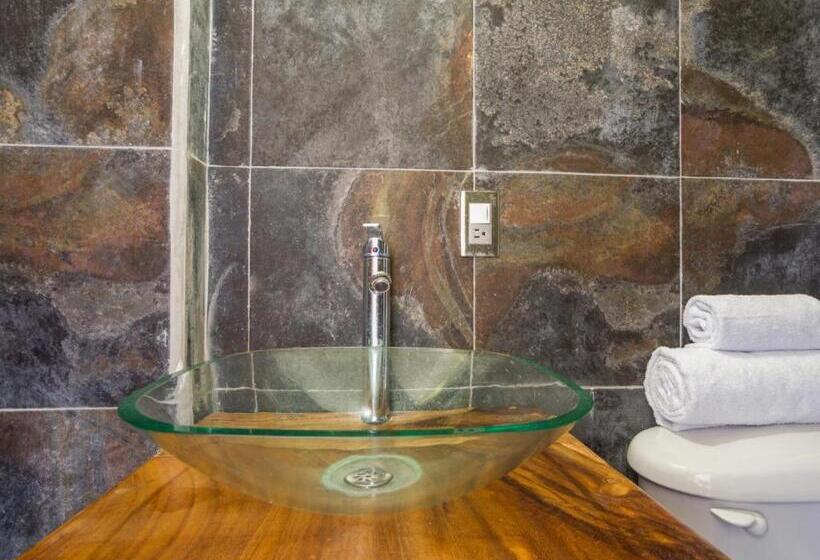 اتاق استاندارد, Oyo Posada Lys