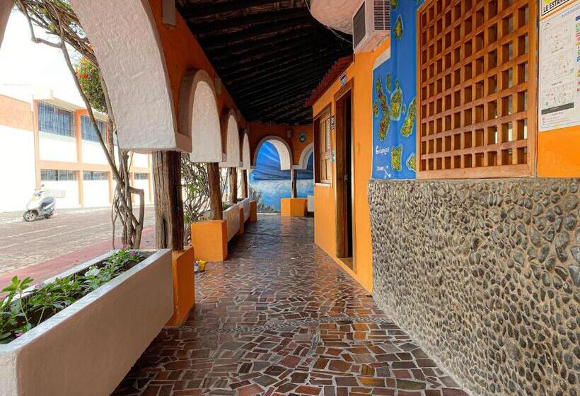 Номер Economy, Crossman