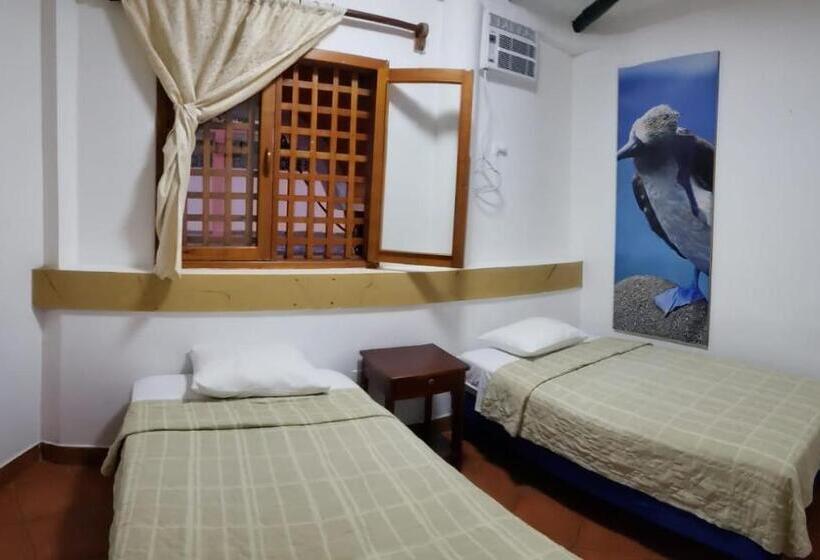 Номер Economy, Crossman