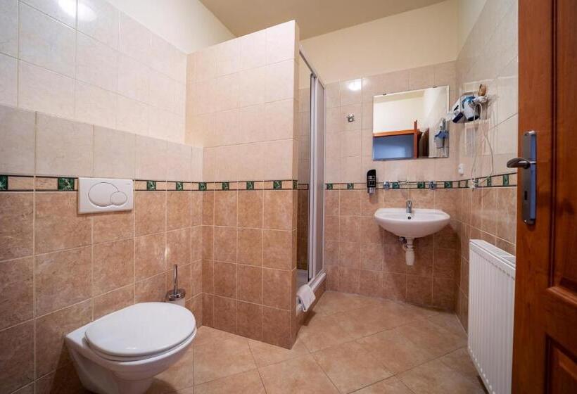 스탠다드 룸, Valnovka Wellness