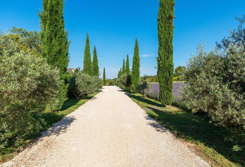 스탠다드 룸 킹사이즈 침대, Bastide De Damien