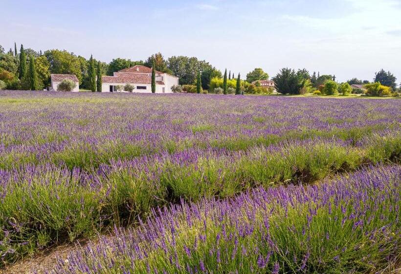 스탠다드 룸 킹사이즈 침대, Bastide De Damien