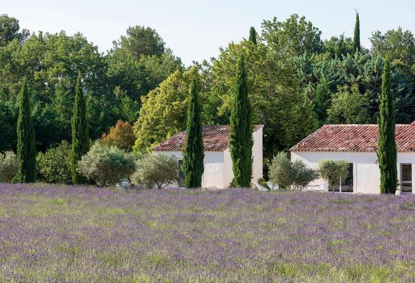Стандартный Номер Кровать Кинг, Bastide De Damien