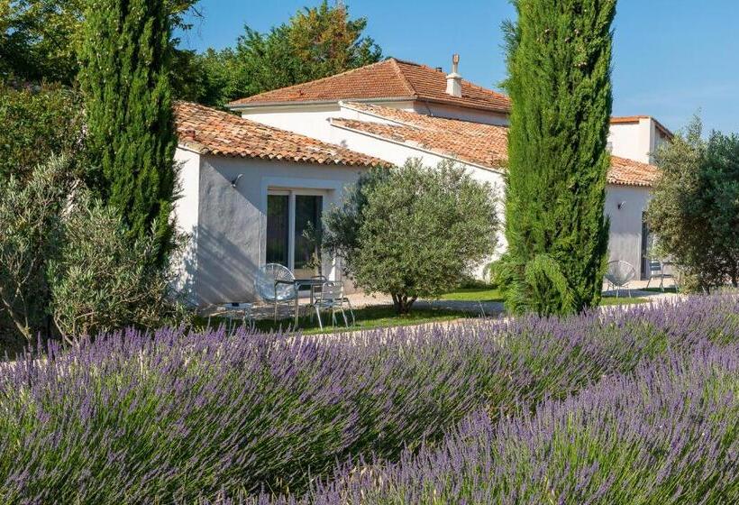 스탠다드 룸 킹사이즈 침대, Bastide De Damien