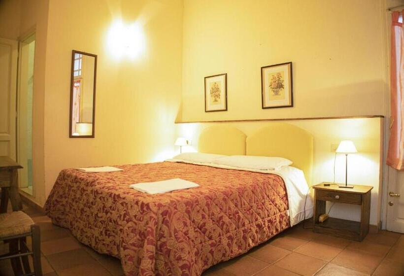 اتاق استاندارد, Ferdinando Ii De  Medici