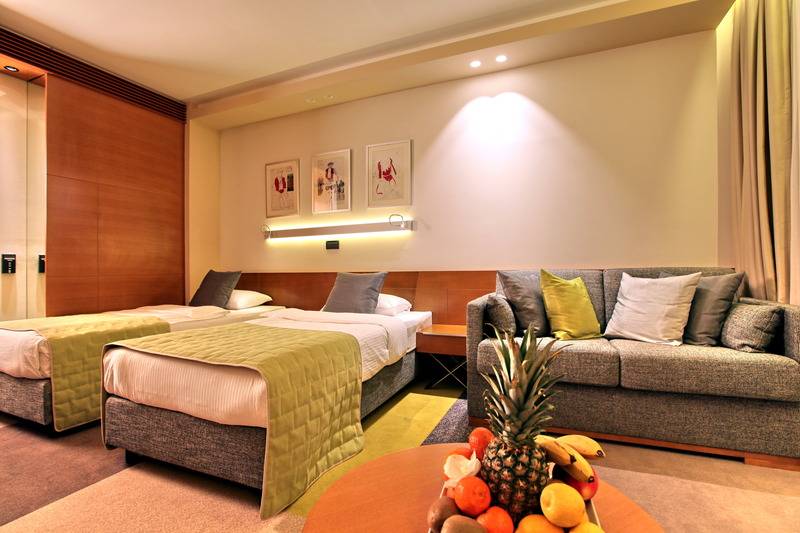 اتاق سوپریور, Mona Plaza Zlatibor