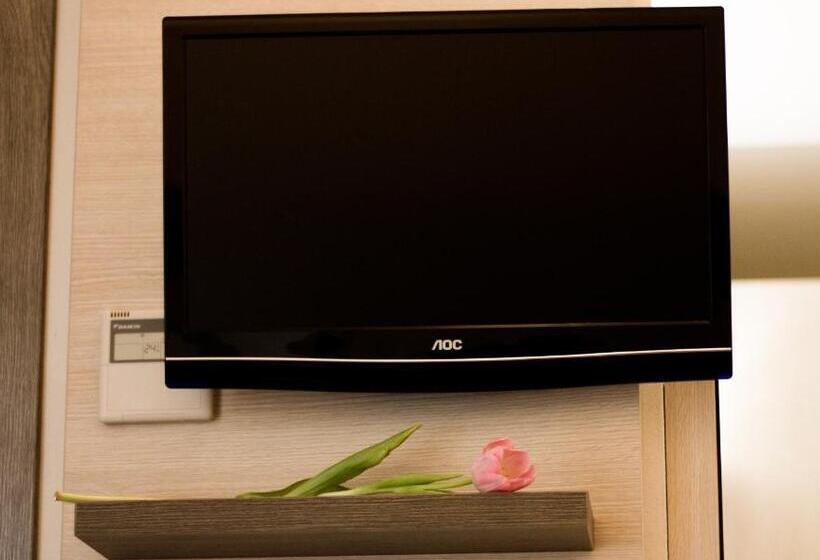 اتاق استاندارد, Siena