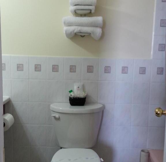 غرفة قياسية, River Mist Inn