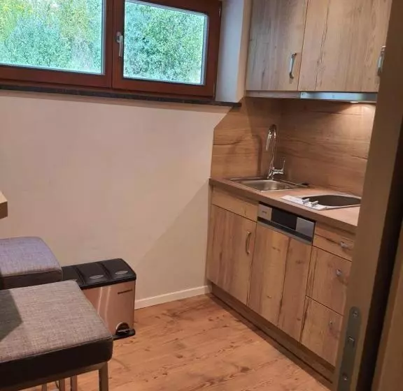 آپارتمان 1 خوابه با چشم‌انداز, Tourist Hotel Boehm