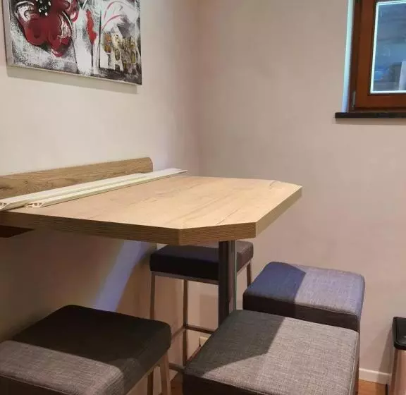 آپارتمان 1 خوابه با چشم‌انداز, Tourist Hotel Boehm