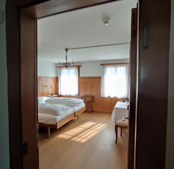 חדר סטנדרט חדר אמבטיה משותף, Kloster Dornach / Basel