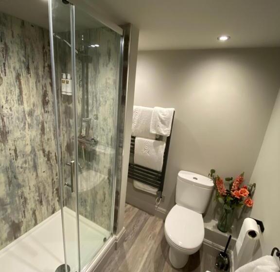 Номер Стандарт, The Hive At Poppi Red