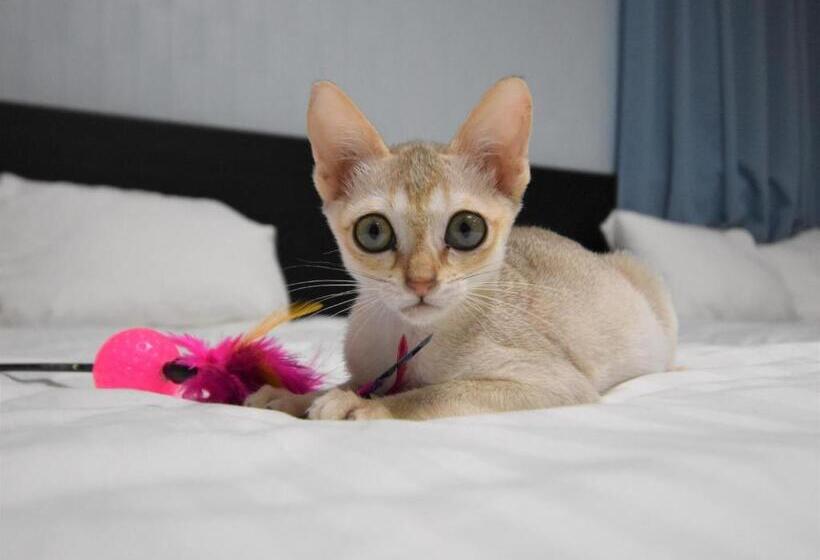 スタンダードスタジオ, Regariain Vacation Stay 85009