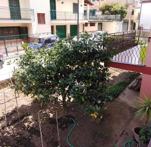 חדר סטנדרט, Nilu  E Sagio