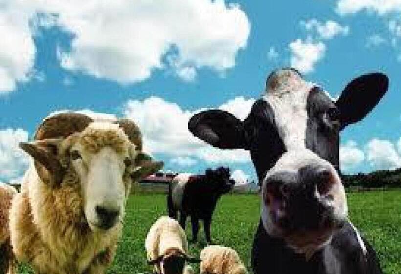 חדר סטודיו סטנדרד, Royal Garden Kisarazu / Vacation Stay 72226