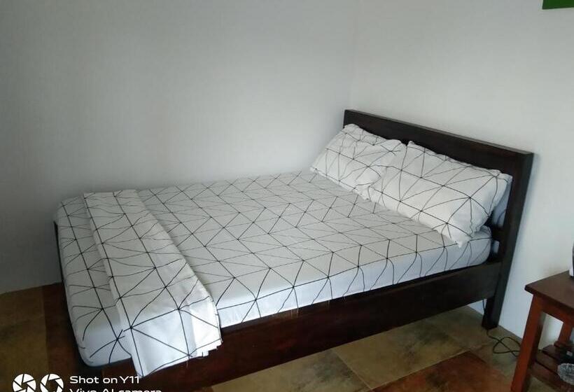 Номер Стандарт, Jeno Tourist Inn