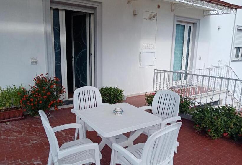 חדר סטנדרט עם מיטת קינג, Sunset House