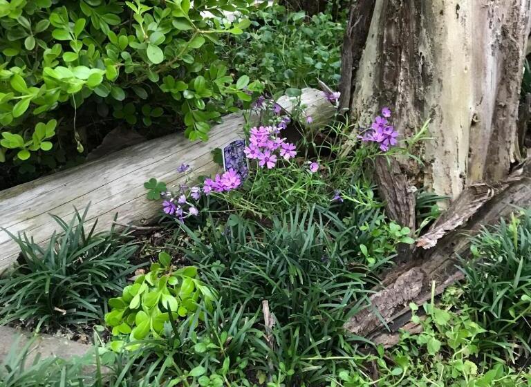 １ベッドルームハウス, 8 17 Nomura Motomachi   House / Vacation Stay 1893