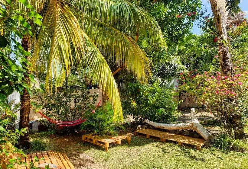 اتاق استاندارد, Surf House